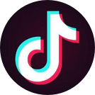 www.vidmate-download.com